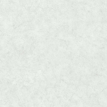 ХОУМ КОЛОР Планеты HC71988-14 обои виниловые на флизелиновой основе (1.06х10м) серые — в интернет-магазине «Ремонт 3000»